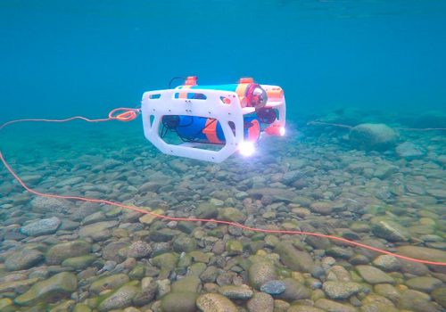 Pancora rov